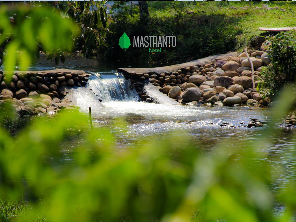 Hotel Campestre Mastranto 比亚维森西奥 外观 照片